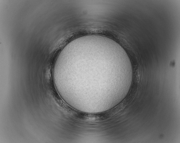 X0000111910746200908171301