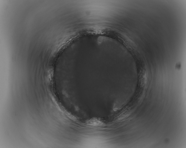 X0000111910747200908171301