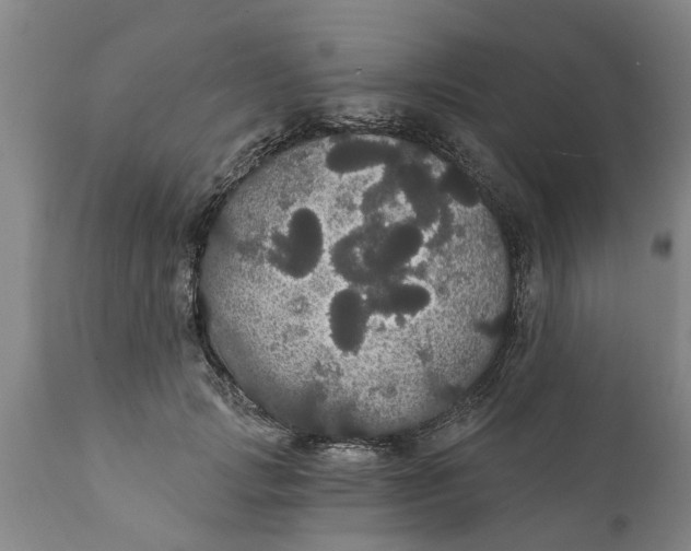 X0000111910749200908171301