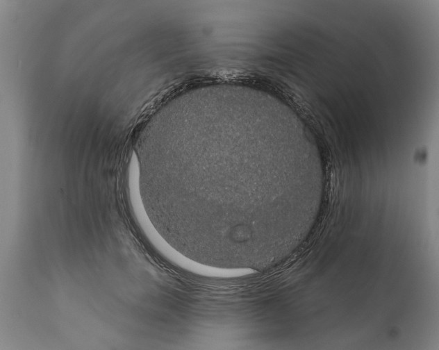 X0000111910750200908171301