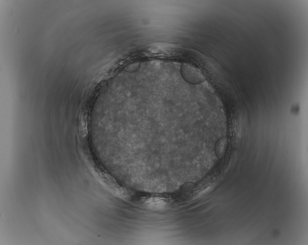 X0000111910751200908171301