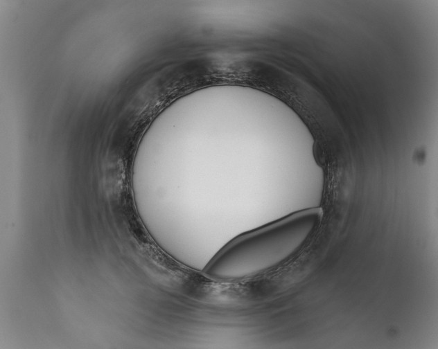 X0000111910752200908171301