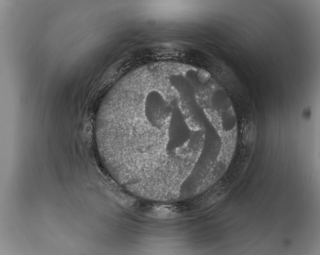 X0000111910753200908171301