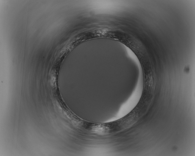 X0000111910754200908171301