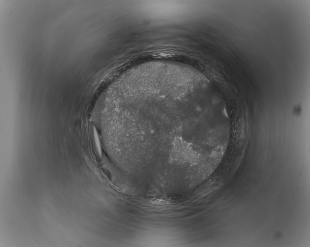 X0000111910755200908171301