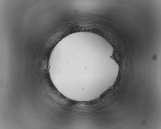 X0000111910756200908171301