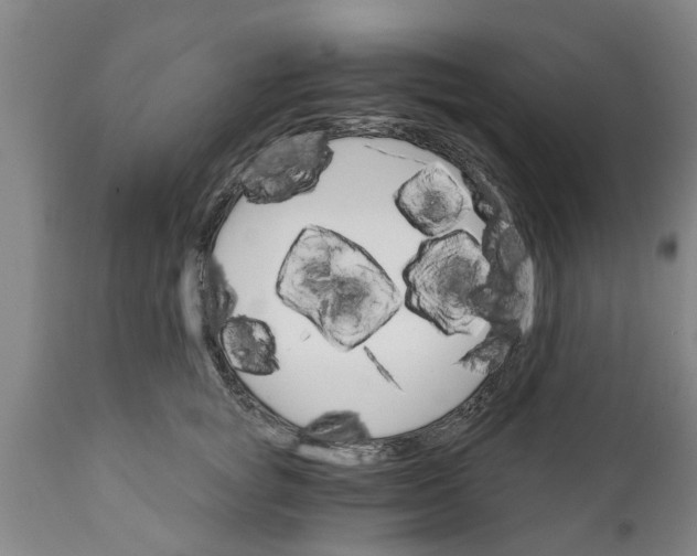 X0000111910757200908171301