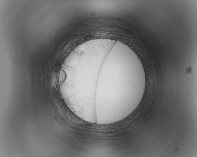 X0000111910758200908171301