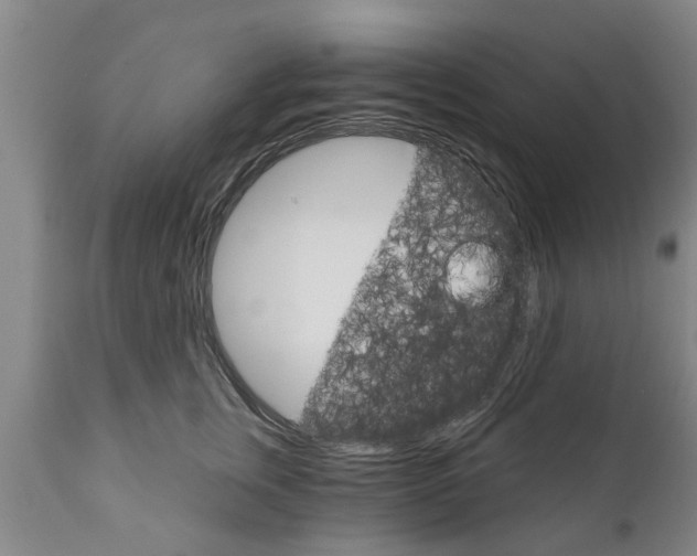 X0000111910759200908171301