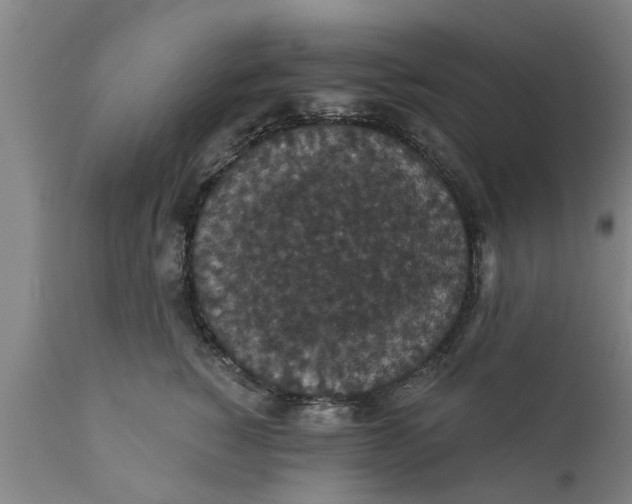 X0000111910760200908171301
