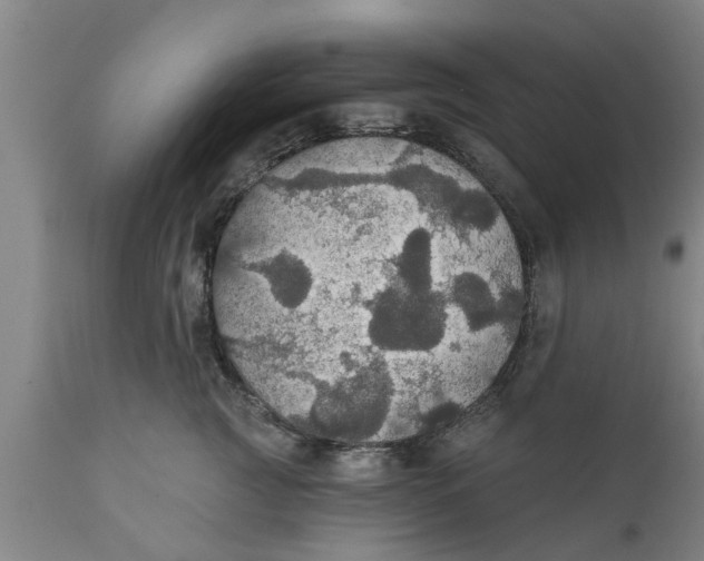 X0000111910761200908171301