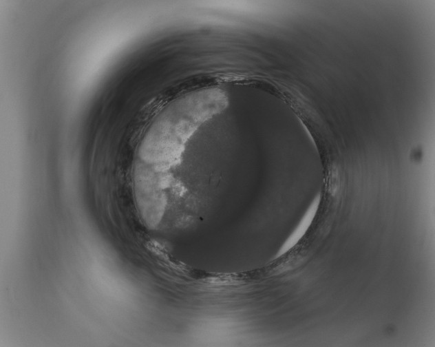 X0000111910763200908171301