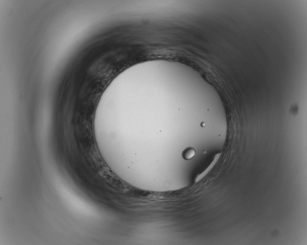 X0000111910764200908171301