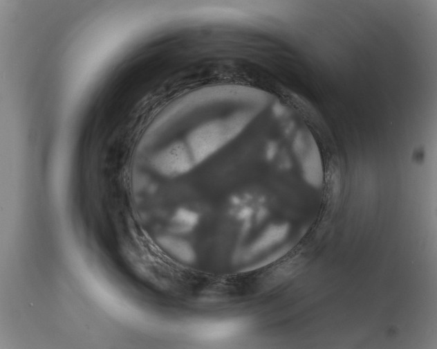 X0000111910765200908171301