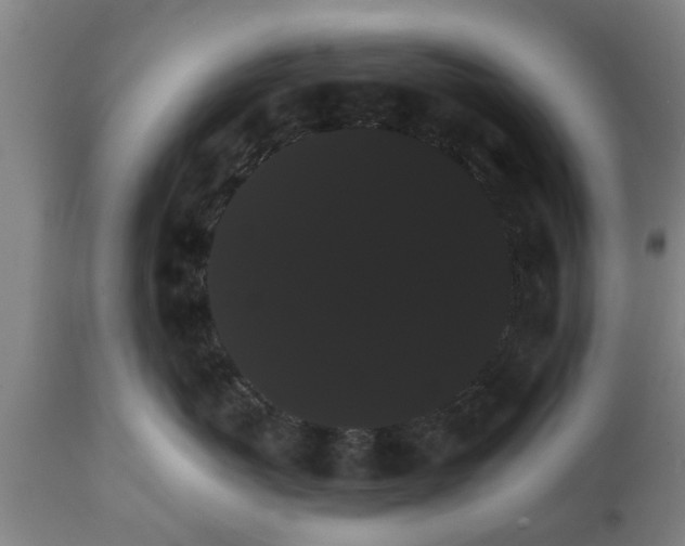 X0000111910767200908171302