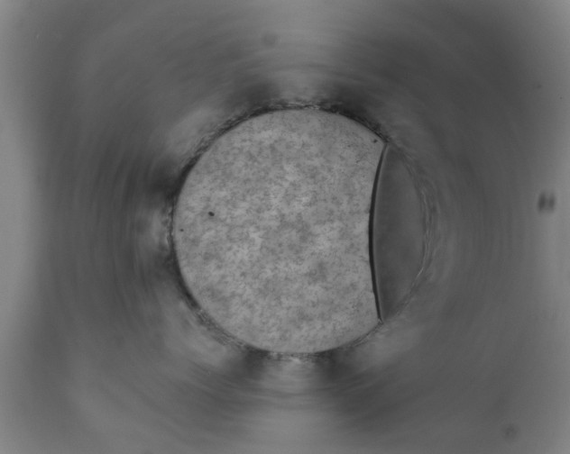 X0000111910768200908171302