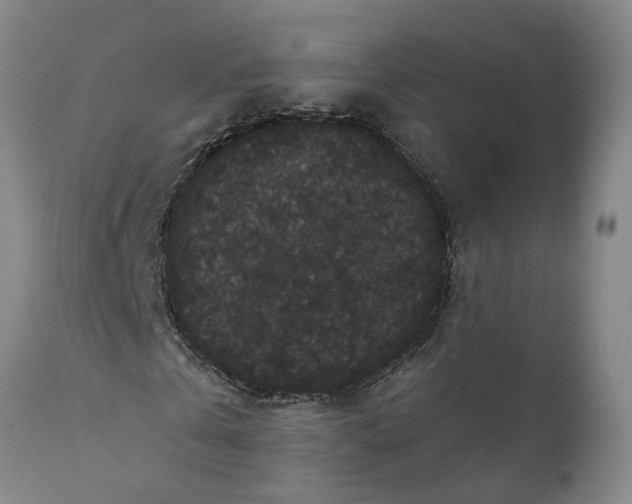 X0000111910769200908171301