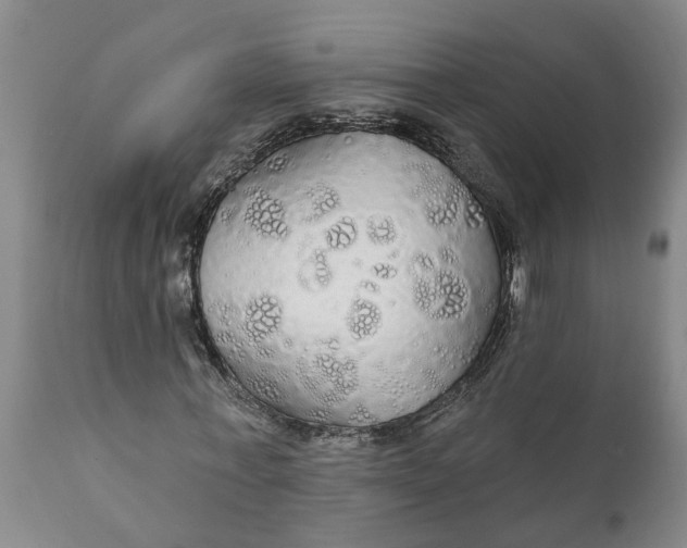 X0000111910771200908171301