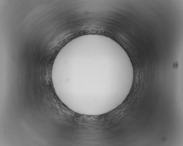X0000111910774200908171301