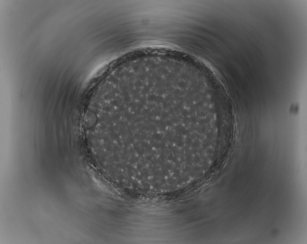 X0000111910775200908171301