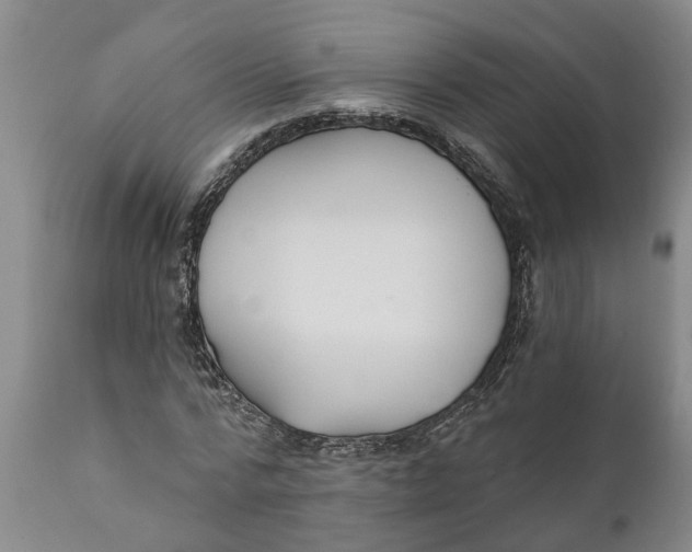 X0000111910776200908171301