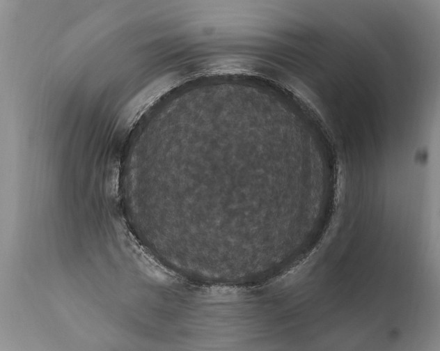 X0000111910777200908171301