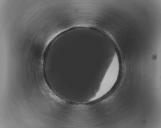 X0000111910779200908171301