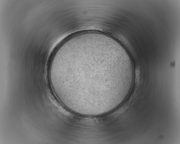 X0000111910780200908171301