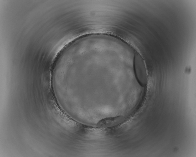 X0000111910781200908171301