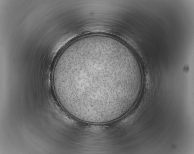 X0000111910782200908171301