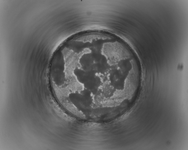 X0000111910783200908171301