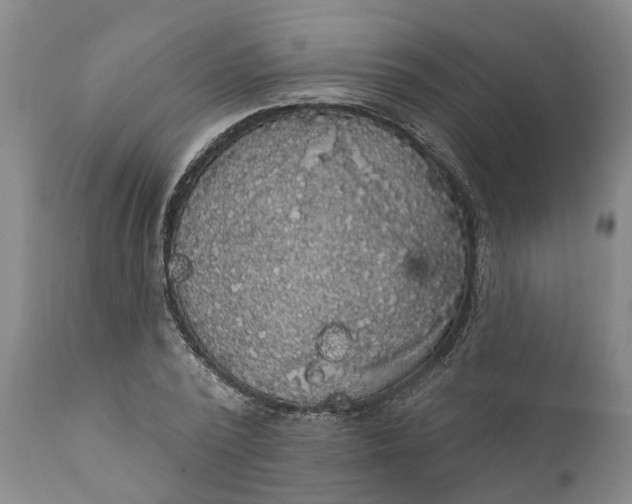 X0000111910784200908171300