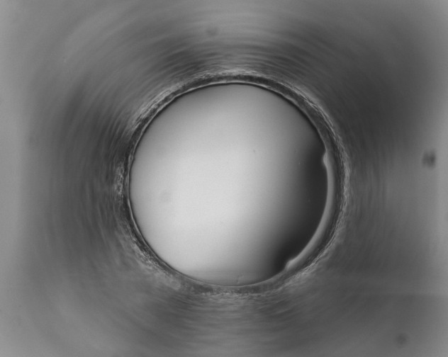 X0000111910785200908171300