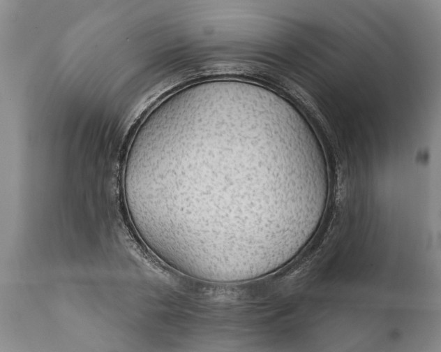 X0000111910786200908171300