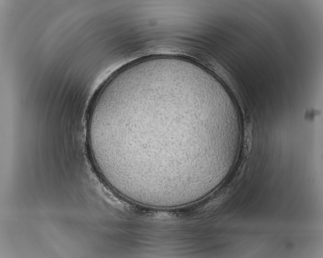 X0000111910787200908171300