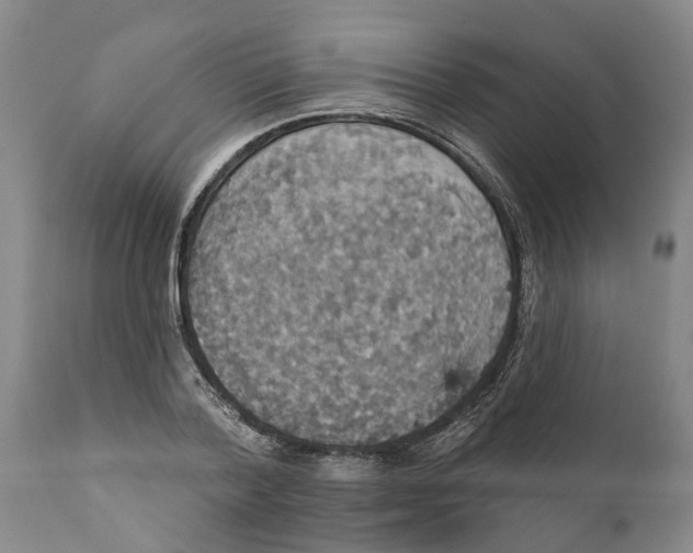 X0000111910788200908171300