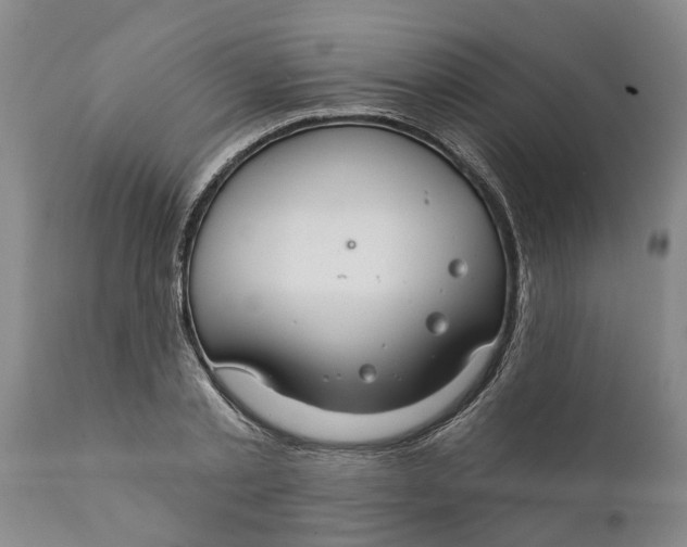 X0000111910789200908171300