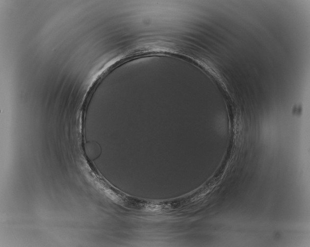 X0000111910790200908171300