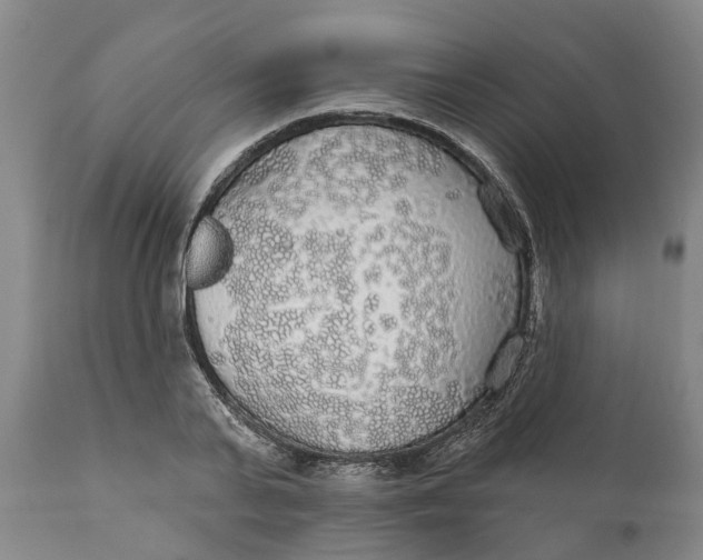 X0000111910791200908171300