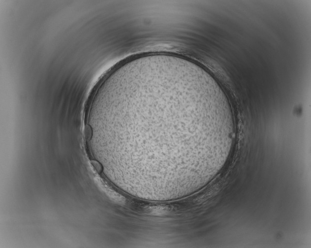 X0000111910792200908171300