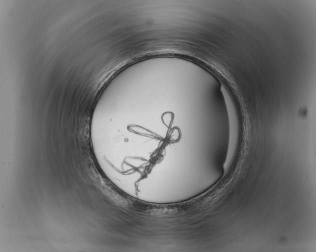 X0000111910793200908171300