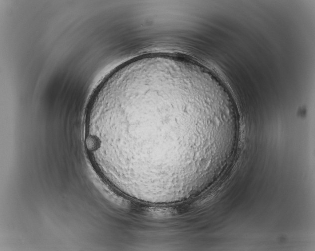 X0000111910795200908171300