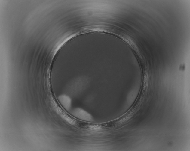 X0000111910798200908171300