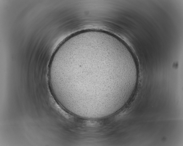 X0000111910799200908171300