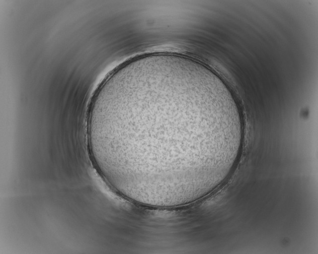 X0000111910800200908171300