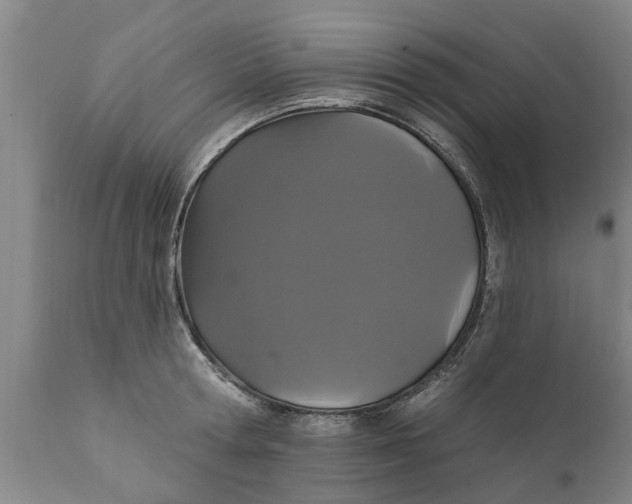 X0000111910802200908171300