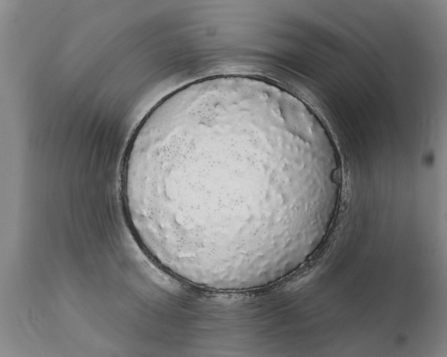 X0000111910803200908171300