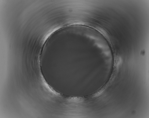 X0000111910806200908171300