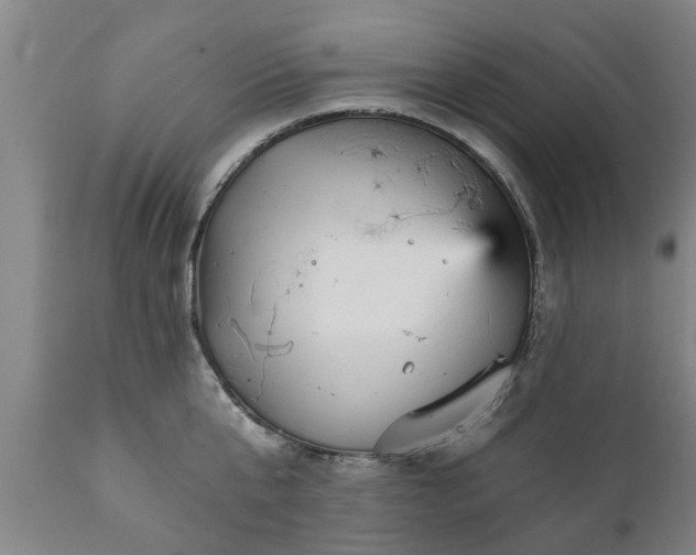 X0000111910807200908171300