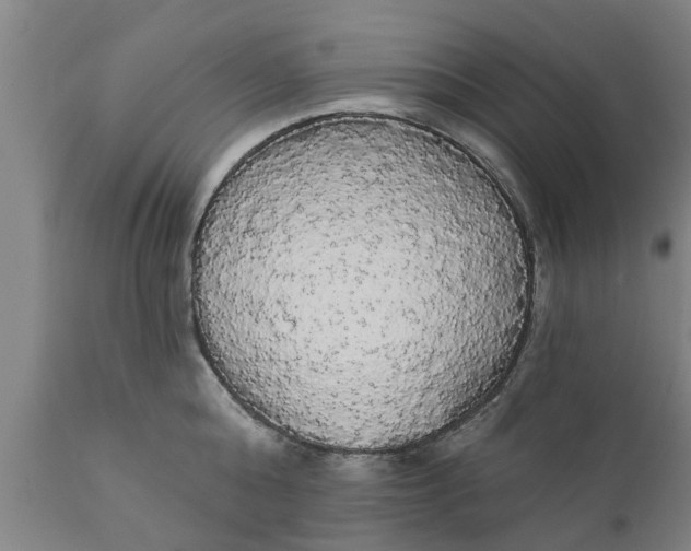 X0000111910808200908171300